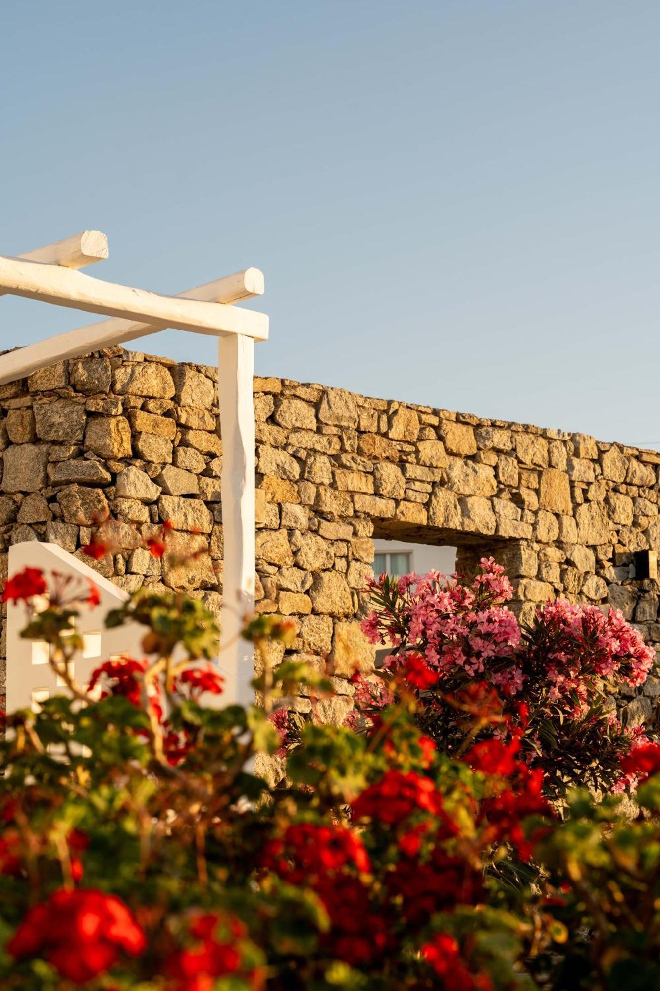 Philosophy Of Mykonos Boutique Hotel Mykonos Town Eksteriør bilde