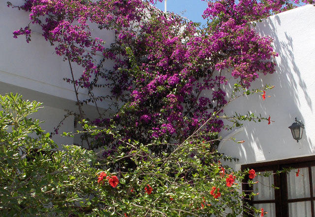 Marianna Hotel Mykonos Town Eksteriør bilde